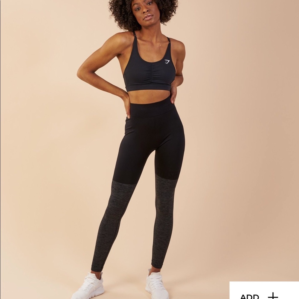Gym shark Leggings